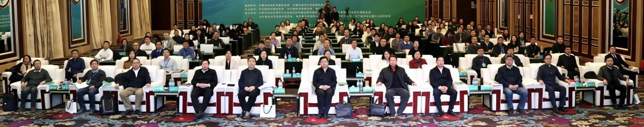 e933a110c7b6f8dd4e78077f5be91942