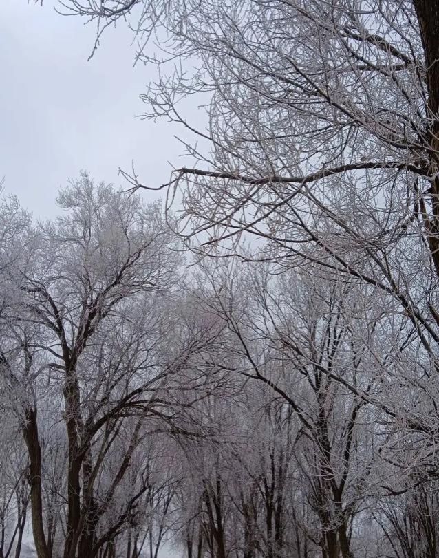 c9128c98bfcc3aeafa1f5d6d64ed6cb1