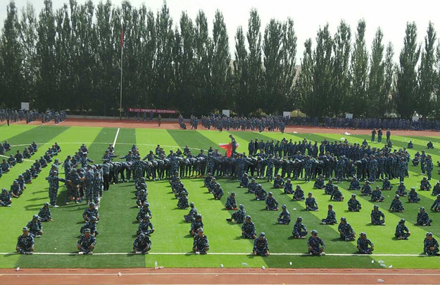 744162481.jpg
