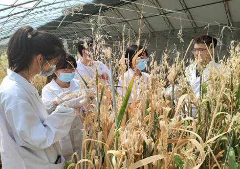 532084d05166159abcd1b8c7c3891c92