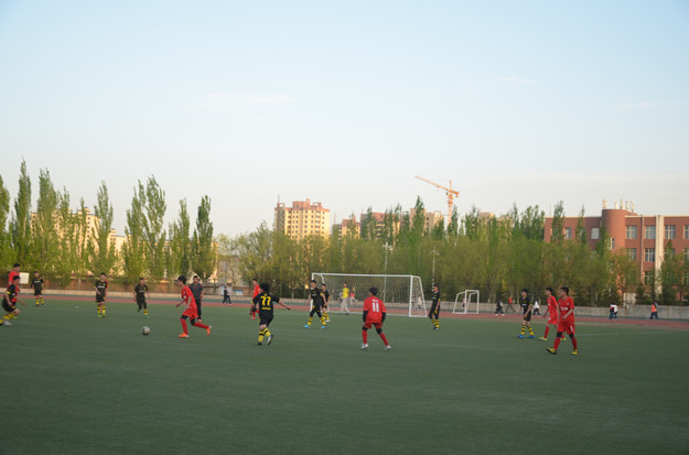 DSC_6290.JPG